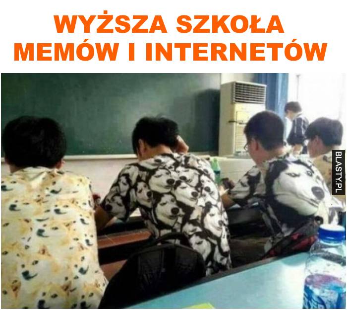 wyższa szkoła memów i internetów