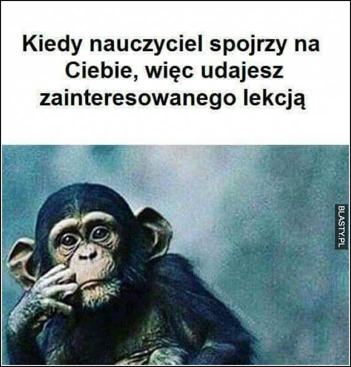 zainteresowany lekcją zainteresowany lekcją