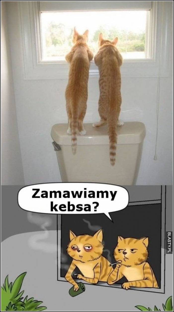 zamawiamy kebsa