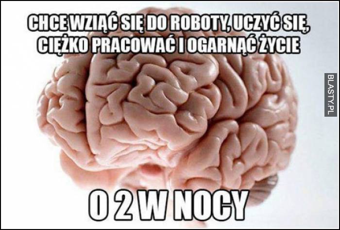 chce wziąć się do roboty