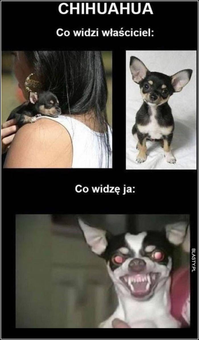 co widzę ja