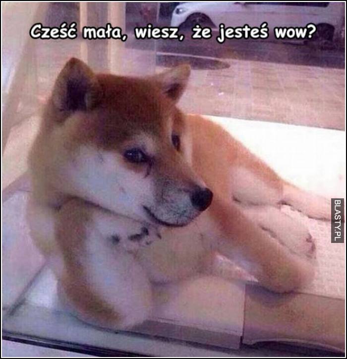 cześć mała, wiesz, że jesteś wow