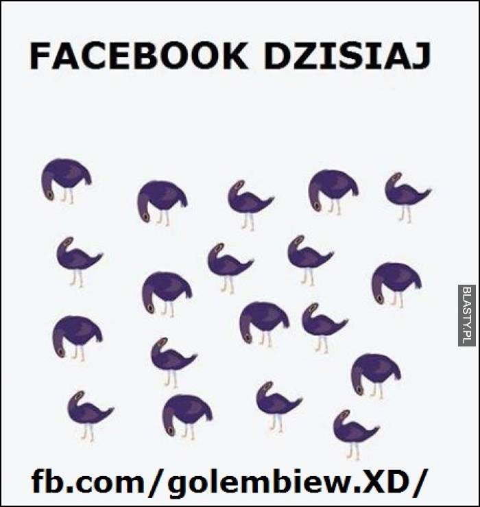 Facebook dzisiaj