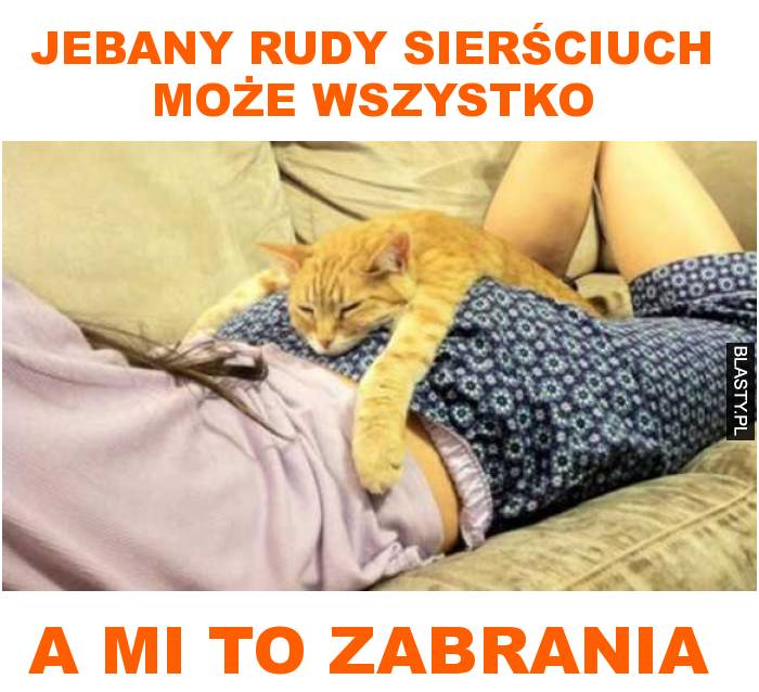 jebany rudy sierściuch może wszystko