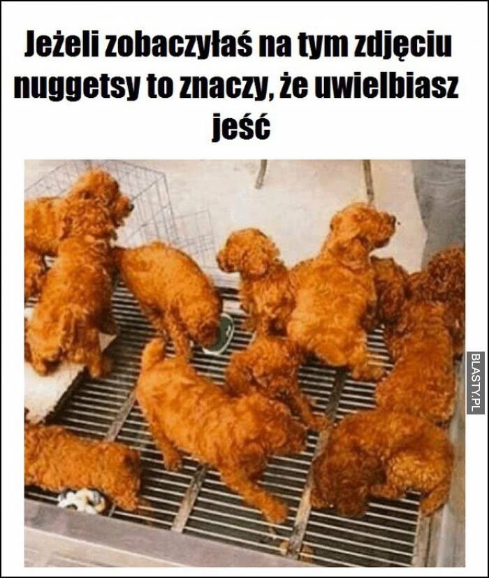 jeśli zobaczyłeś na tym zdjęciu nuggetsy