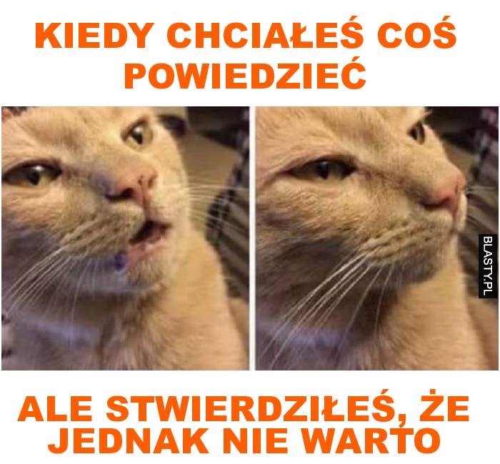 kiedy chciałeś coś powiedzieć ale stwierdziłeś, że jednak nie warto