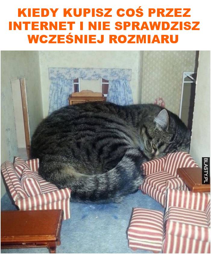 kiedy kupisz coÅ› przez internet i nie sprawdzisz wczeÅ›niej rozmiau