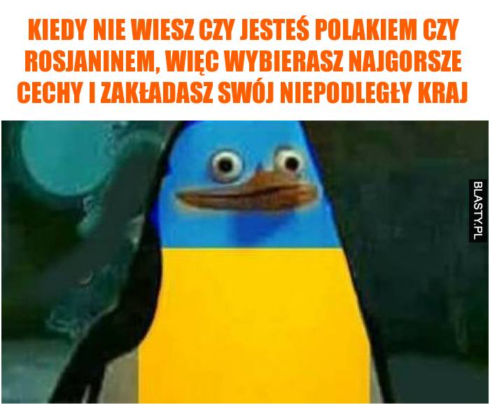 Kiedy nie wiesz czy jesteś polakiem czy rosjaninem, więc wybierasz najgorsze cechy i zakładasz swój