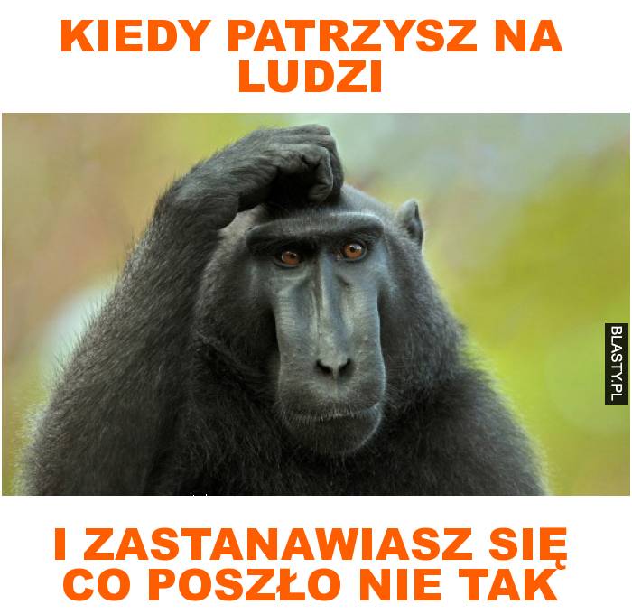 Kiedy patrzysz na ludzi i zastanawiasz się co poszło nie tak