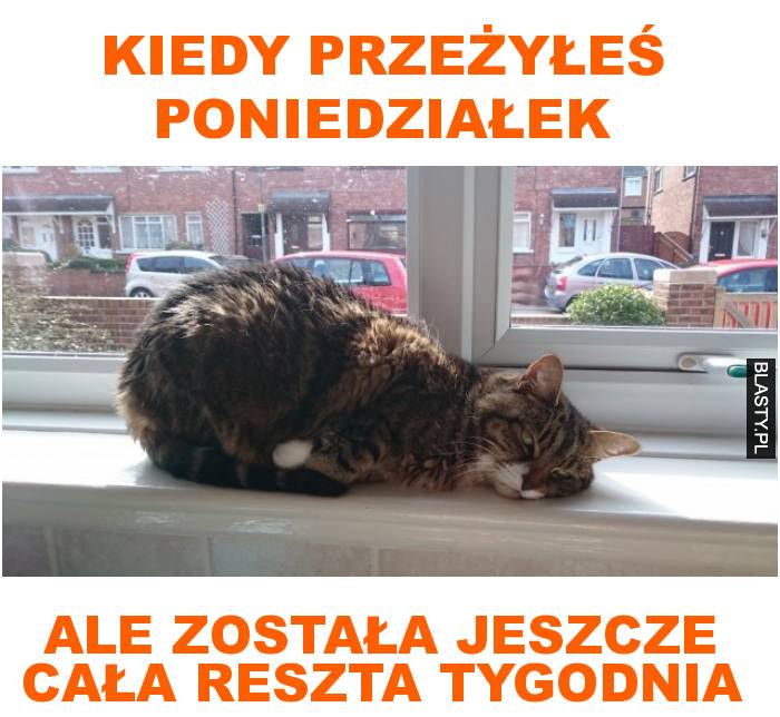 Kiedy przeżyłeś poniedziałek