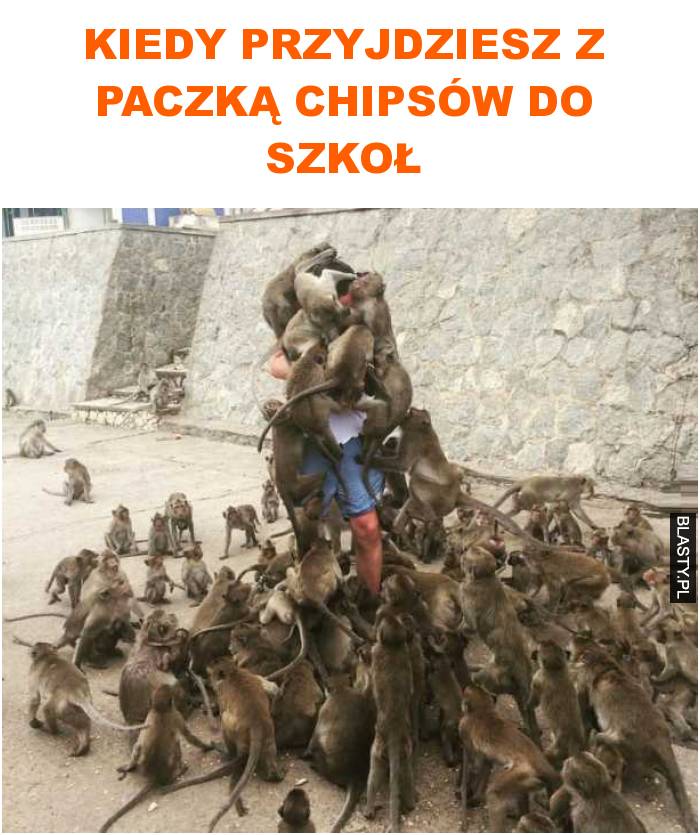 Kiedy przyjdziesz z paczką chipsów do szkoły