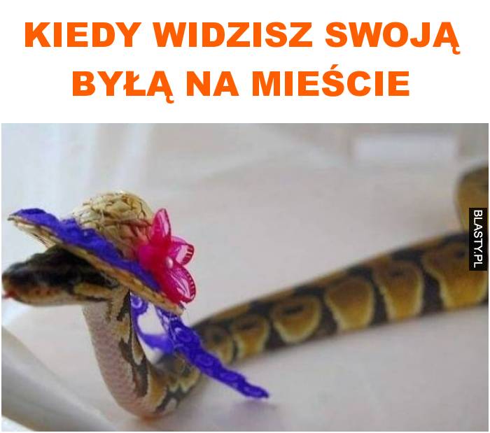 Kiedy widzisz swoją byłą na mieście