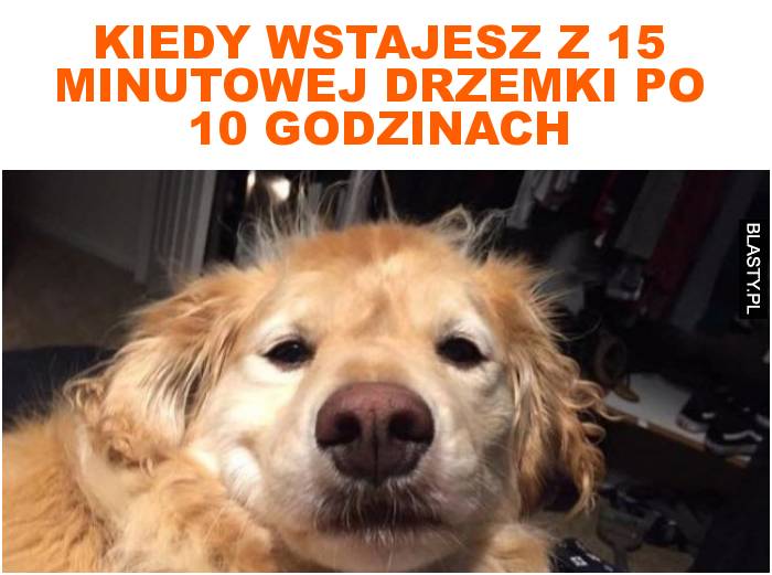 kiedy wstajesz z 15 minutowej drzemki po 10 godzinach