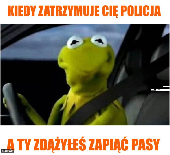 Kiedy zatrzymuje Cię policja...