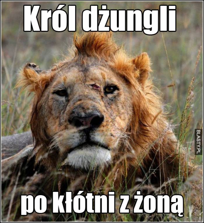 król dżungli