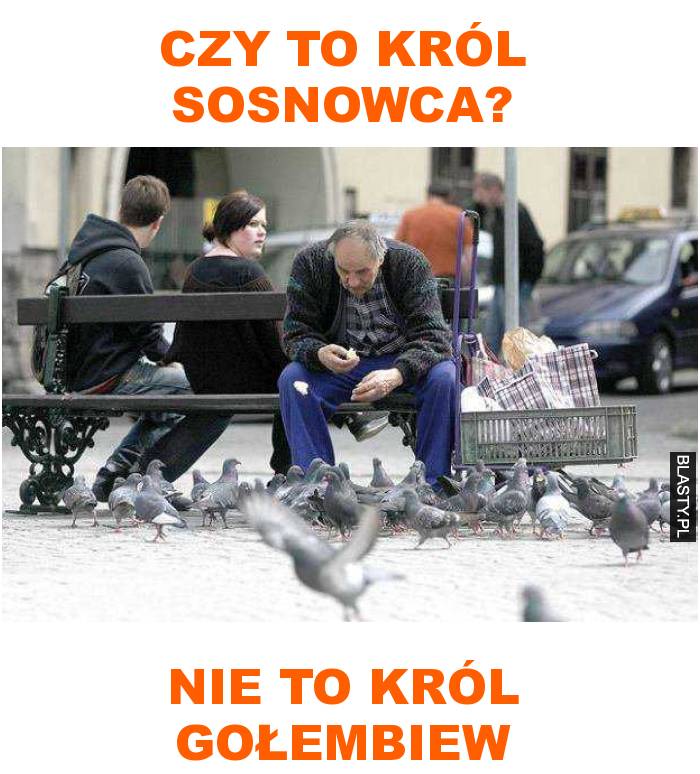 król gołębiew