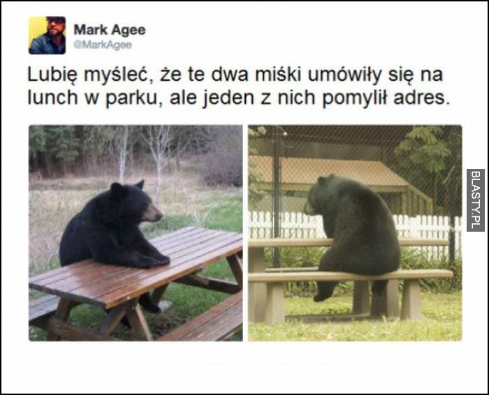 lubię myśleć