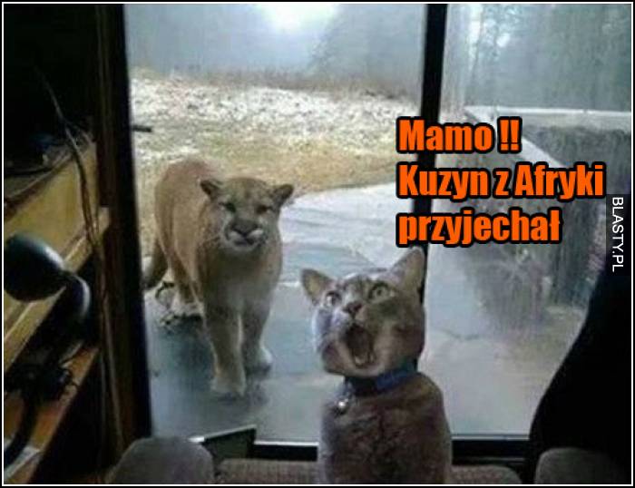 mam kuzyn z afryki przyjechał