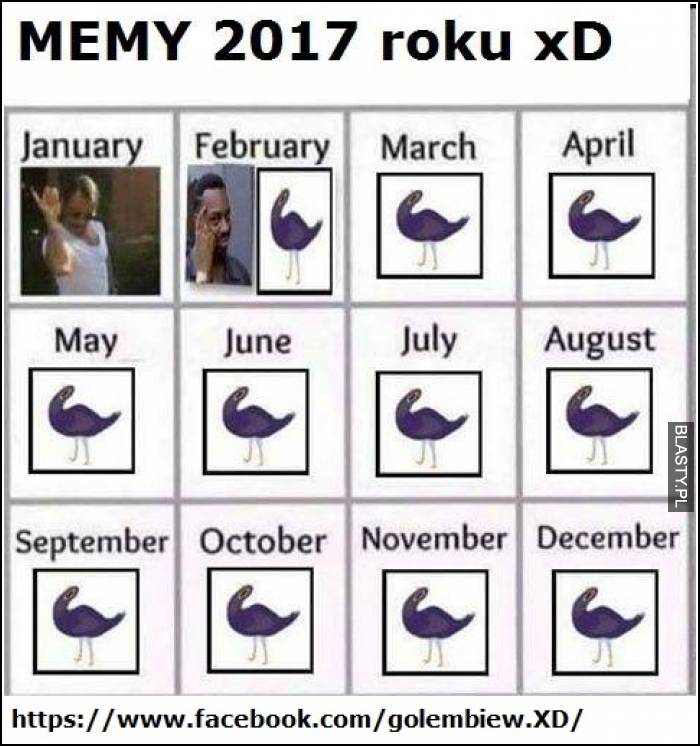 Memy w 2017 roku