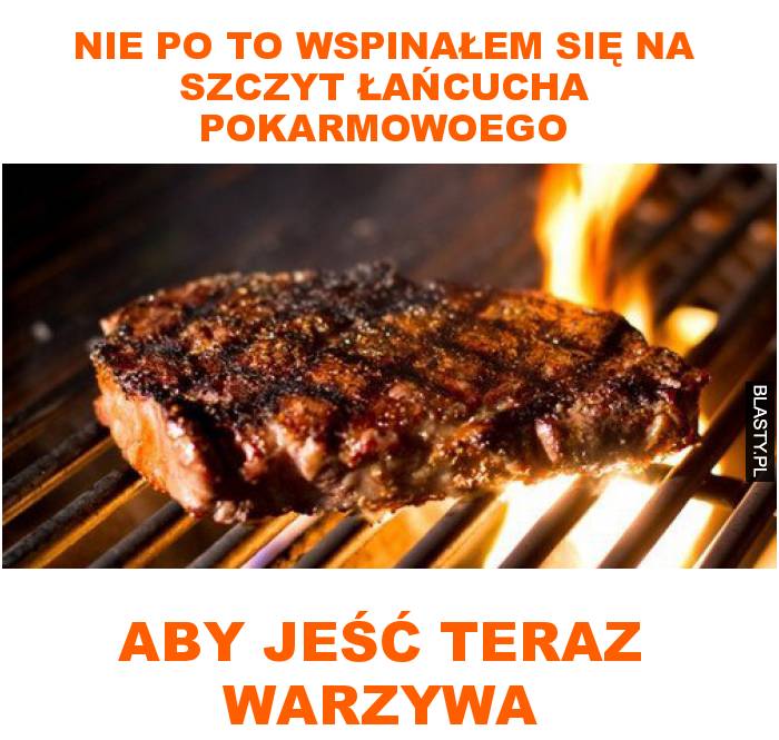 nie po to wspinałem się na szczyt łańcucha pokarmowoego aby jeść teraz warzywa