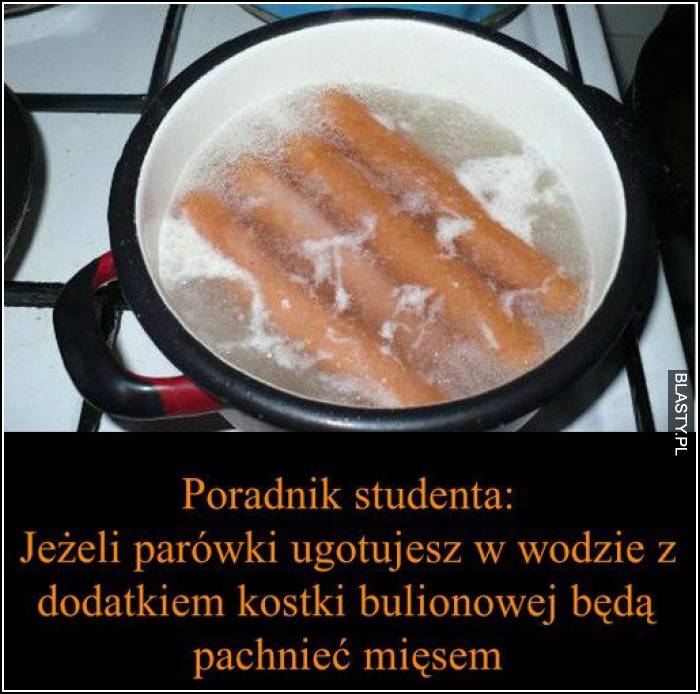 poradnik studenta