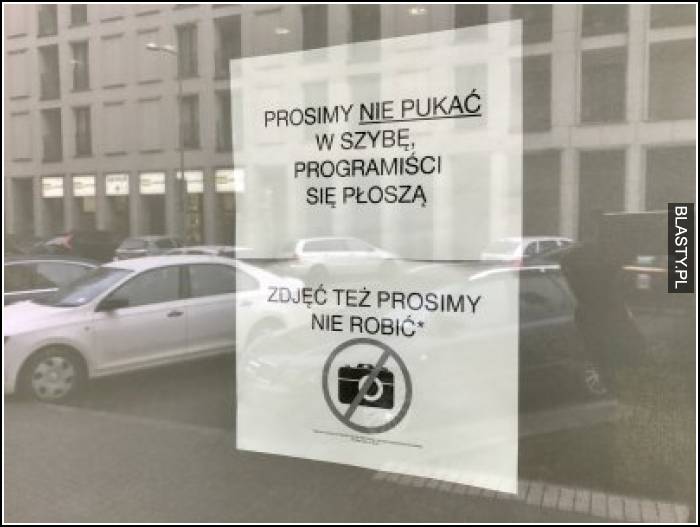 Prosimy nie pukać w szybę programiści się płoszą