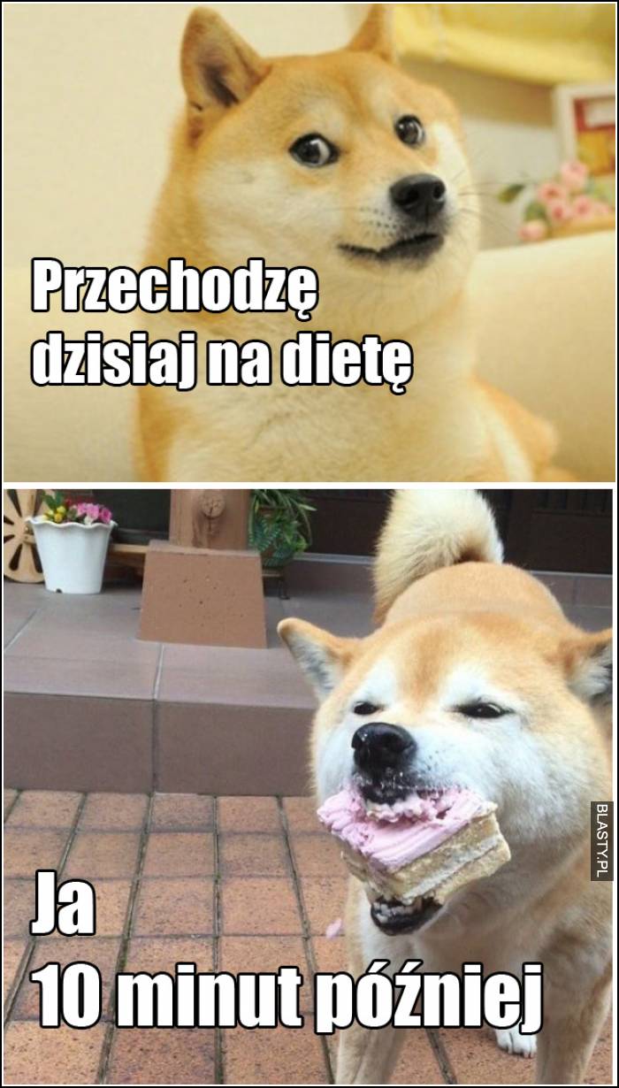 przechodzę dzisiaj na dietę