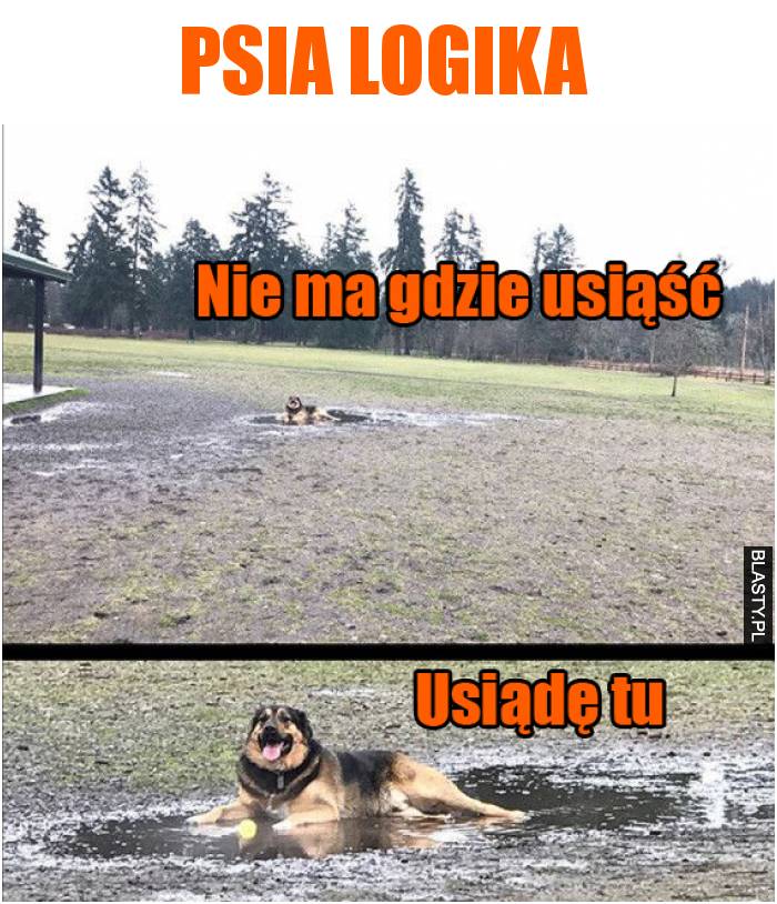 psia logika