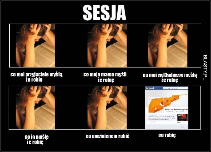 sesja