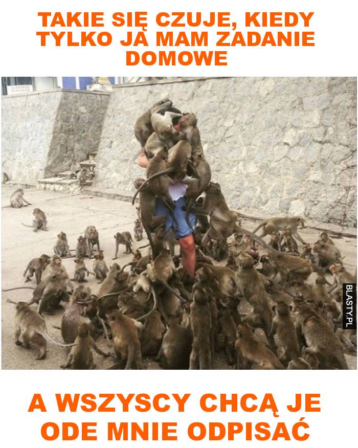 takie się czuje, kiedy tylko ja mam zadanie domowe a wszyscy chcą je ode mnie odpisać