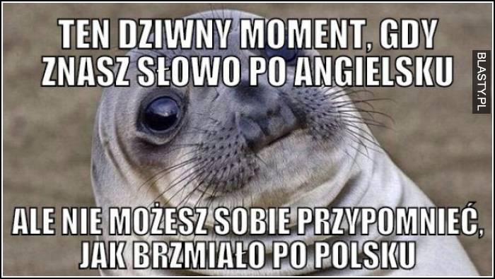 tez tak masz?