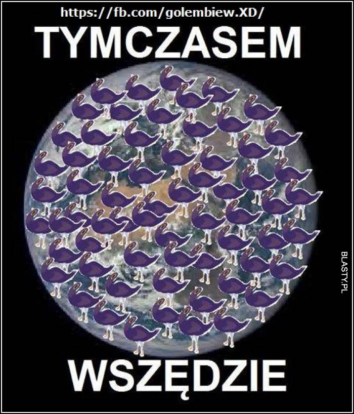 Tymczasem wszędzie