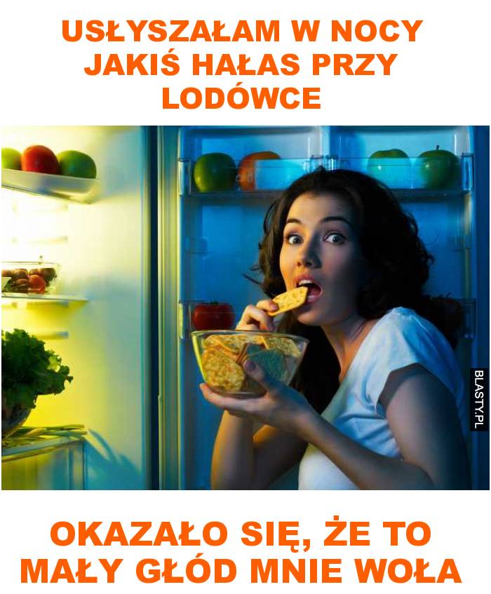 usłyszałam w nocy jakiś hałas przy lodówce