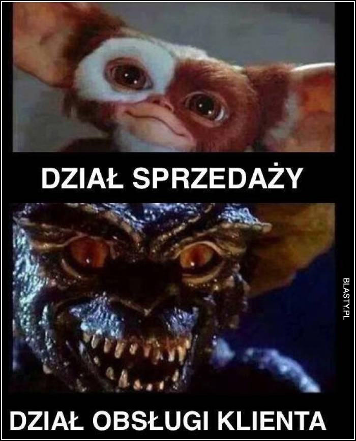 w każdym sklepie