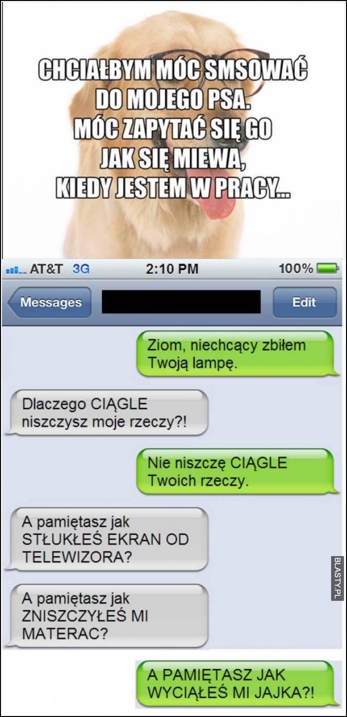 Chciałbym móc smsować do mojego psa