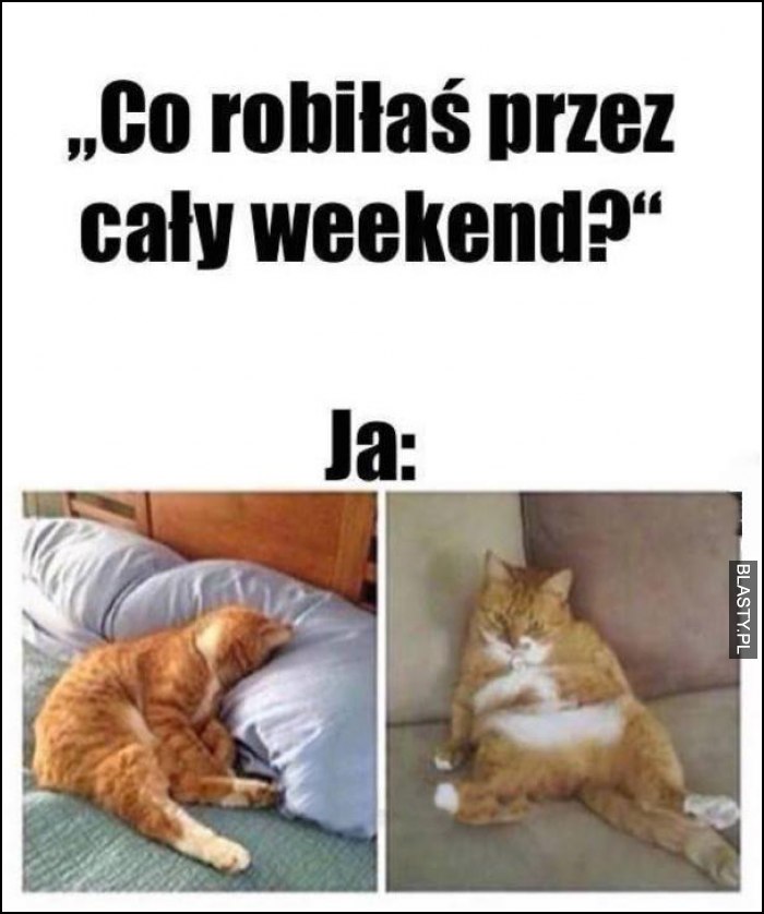 Co robiłeś przez cały weekend