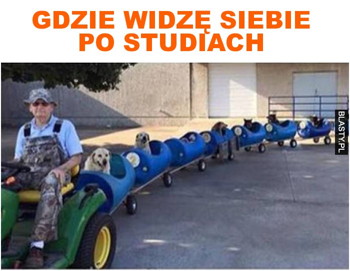 gdzie widzę siebie po studiach