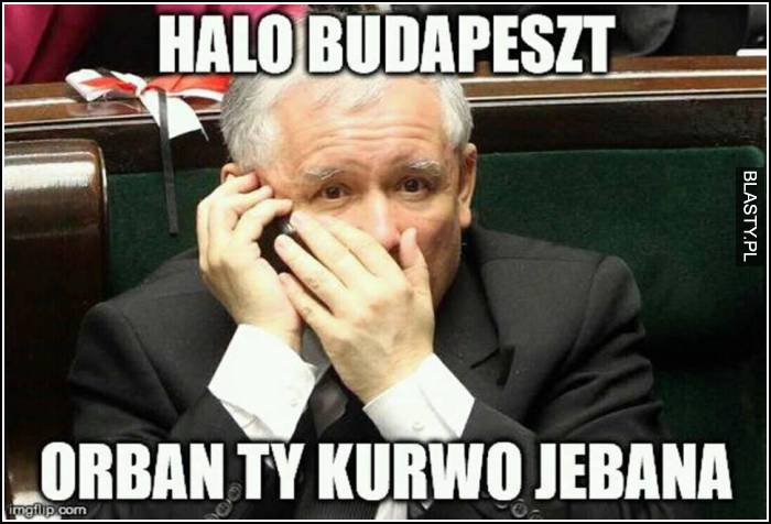 Halo Budapeszt