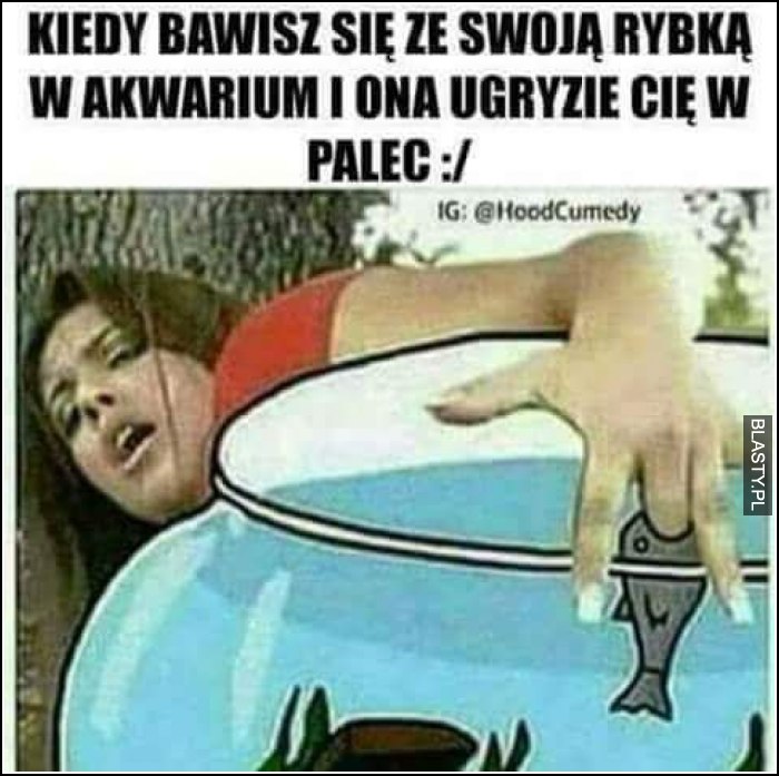 kiedy bawisz się że swoją rybką w akwarium