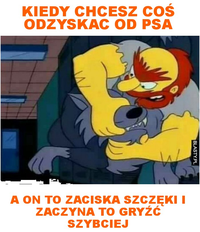 Kiedy chcesz coś odzyskac od psa