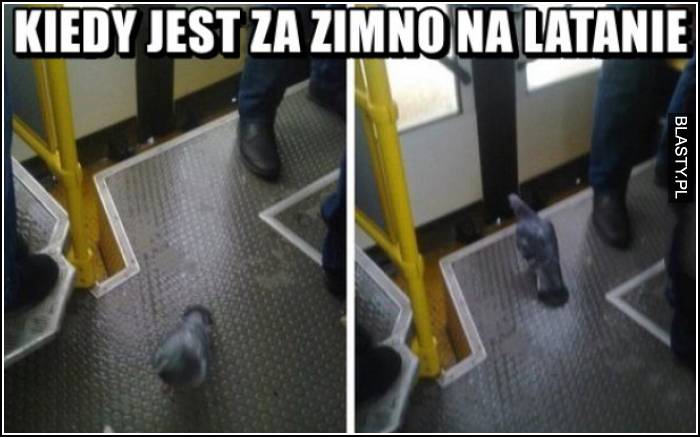 kiedy jest za zimno na latanie