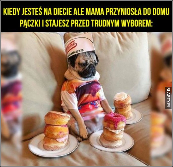 Kiedy jesteś na diecie