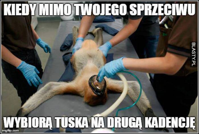 Kiedy pomimo Twojego sprzeciwu wybiorą Tuska na drugą kadencję