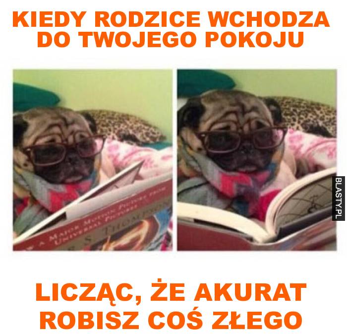 kiedy rodzice wchodza do twojego pokoju licząc, że akurat robisz coś złego