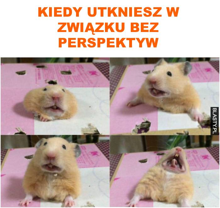 kiedy utkniesz w związku bez perspektyw