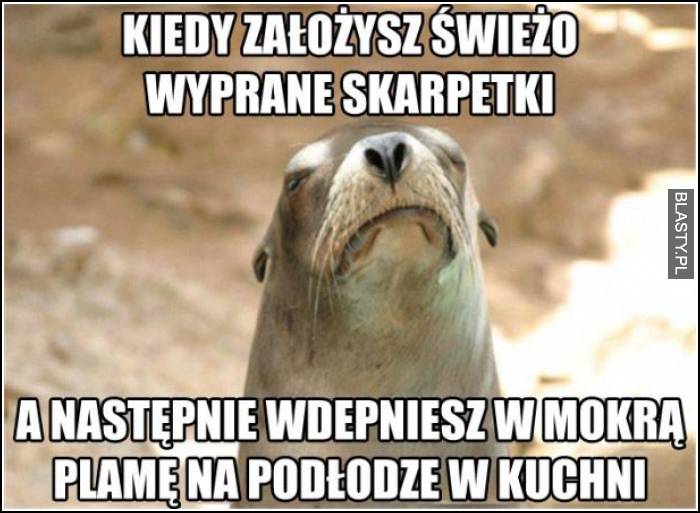 kiedy założysz świeżo wyprane skarpetki