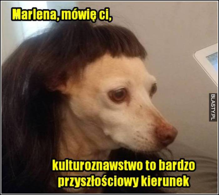 Marlena mówię Ci - kulturoznastwo to bardzo przyszłościowy kierunek