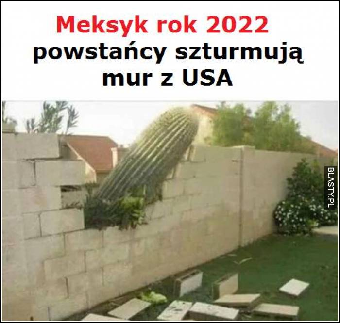 Meksyk Rok 2022 powstańcy szturmują mur z USA