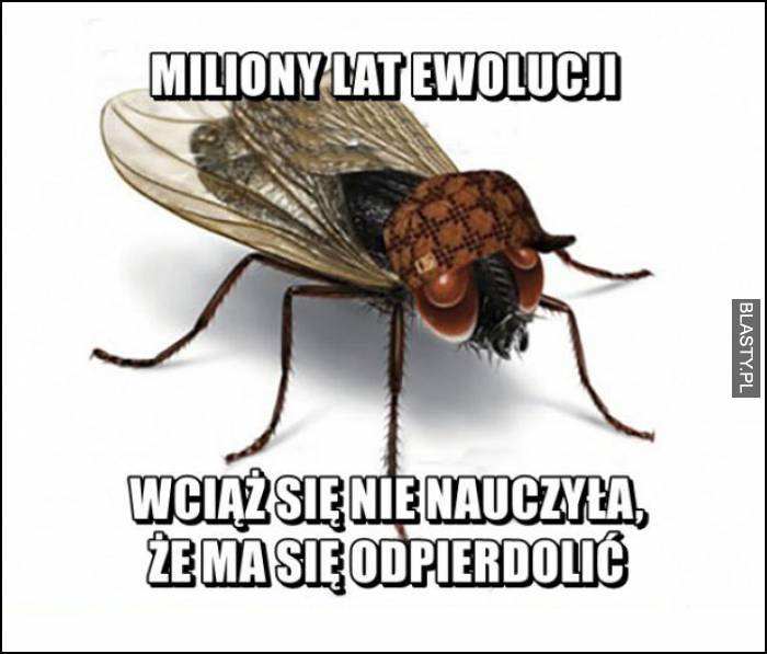 miliony lat ewolucji