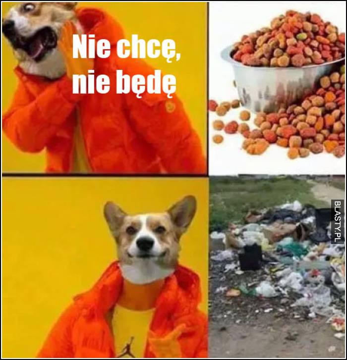 nie chcę, nie będę